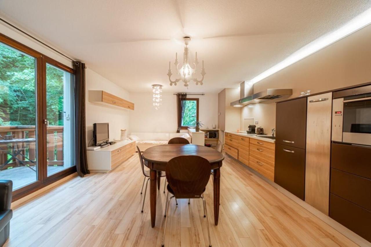 Promenade Furnished Flat Daire Annecy Dış mekan fotoğraf